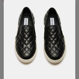 Steve Madden Ecentrcq slip on sneakers